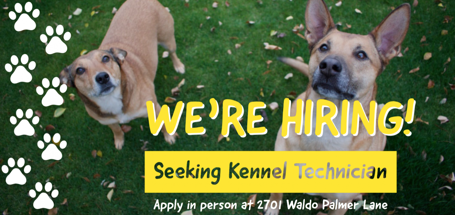 Tallahassee FL Animal Hospital Animal Medical Clinic